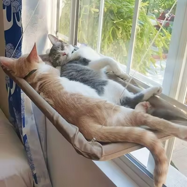 Katzen-Fensterliege mit Hängematte