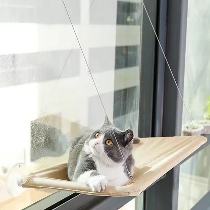 Katzen-Fensterliege mit Hängematte