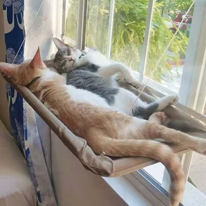 Katzen-Fensterliege mit Hängematte