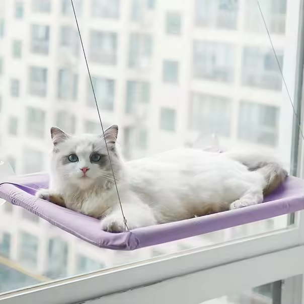 Katzen-Fensterliege mit Hängematte
