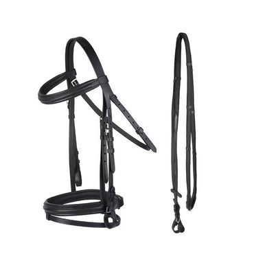 Black horse bridle on a white background