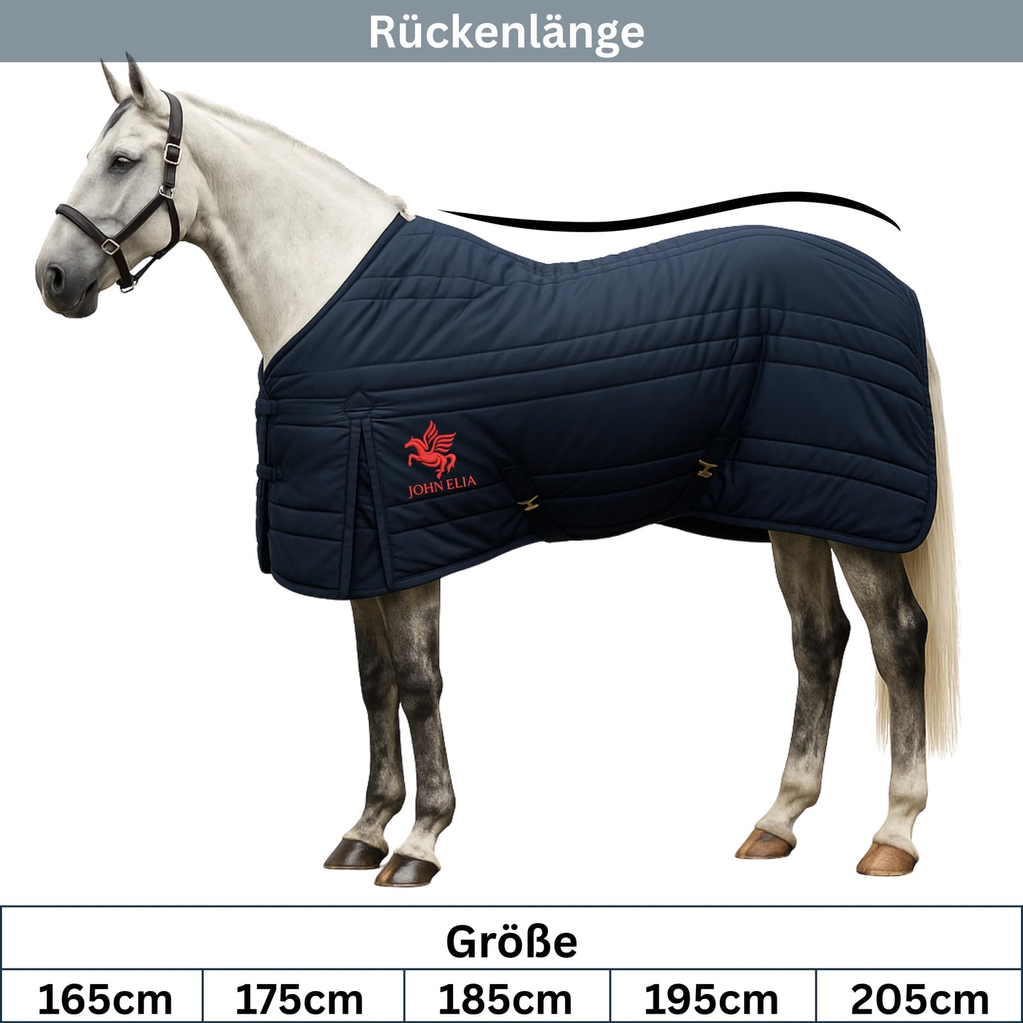 Horse wearing a navy blue quilted blanket with a visible brand logo on a white background