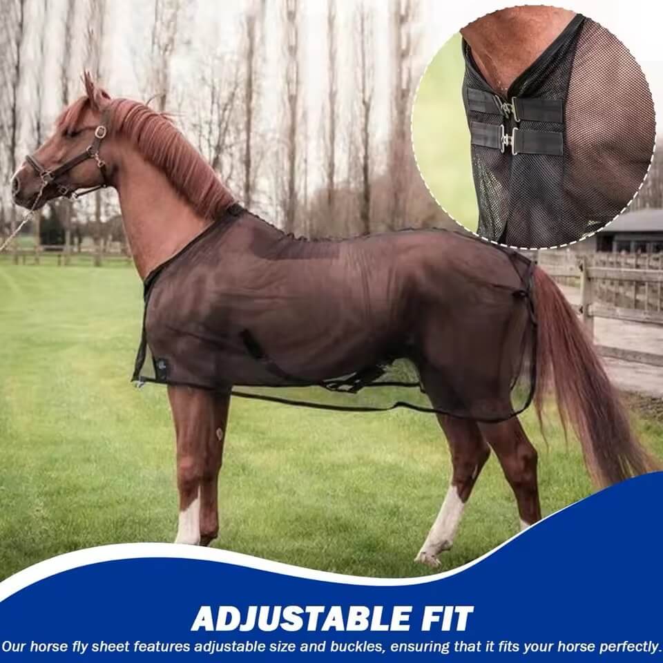 Horse wearing a brown fly sheet with an inset showing adjustable features, set against a grassy field background.